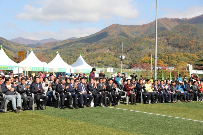 제28회 사과골 무풍면민의 날