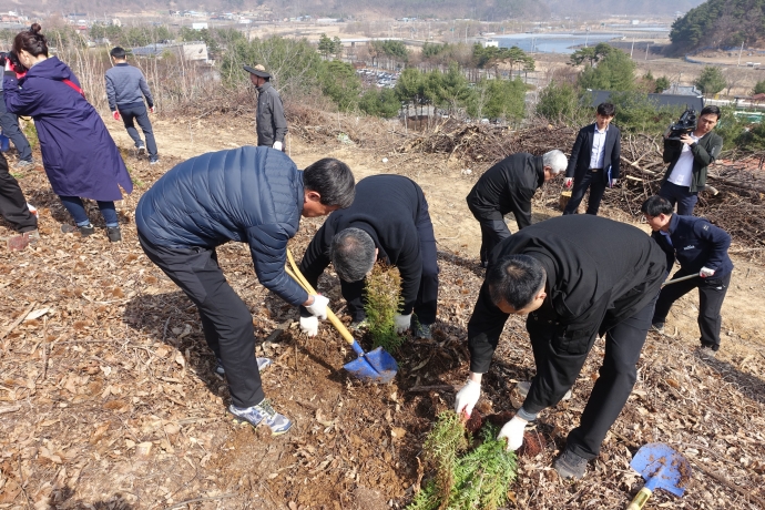 제47회 식목일 나무심기 행사