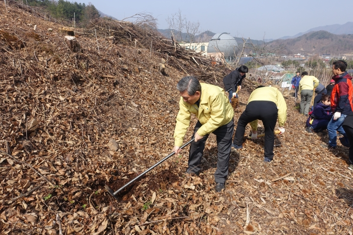 제47회 식목일 나무심기 행사