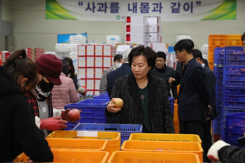 반딧불사과 베트남 수출선적식