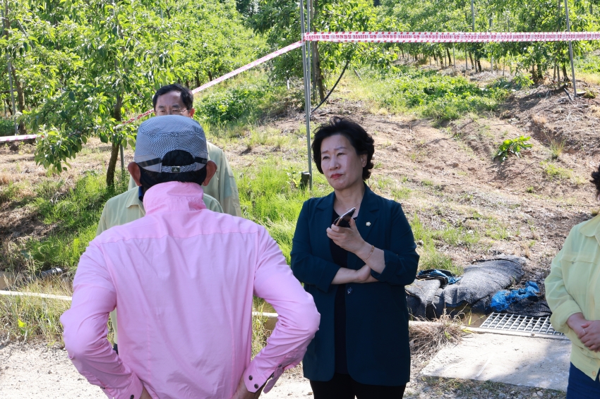 과수화상병 발생현장 방문