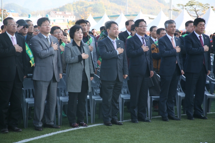 제42회 안성면민의날 천마축제