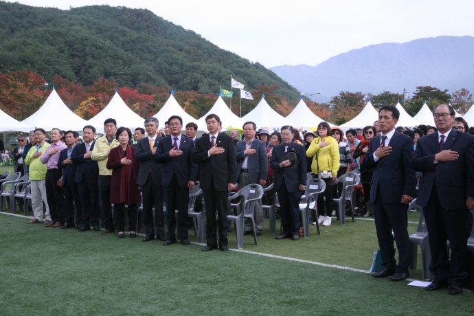 제10회 안성면 천마축제