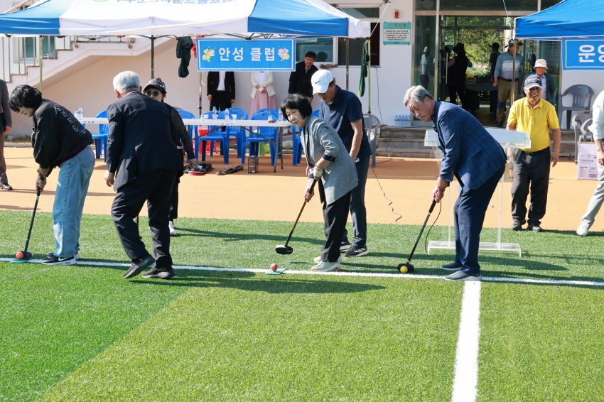  제12회 무주군체육회장배 그라운드골프대회